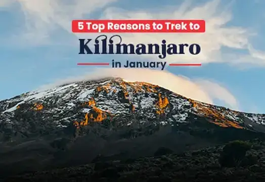 Mount Kilimanjaro 2024 - Trek in Tanzania, Africa